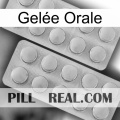 Gelée Orale 19